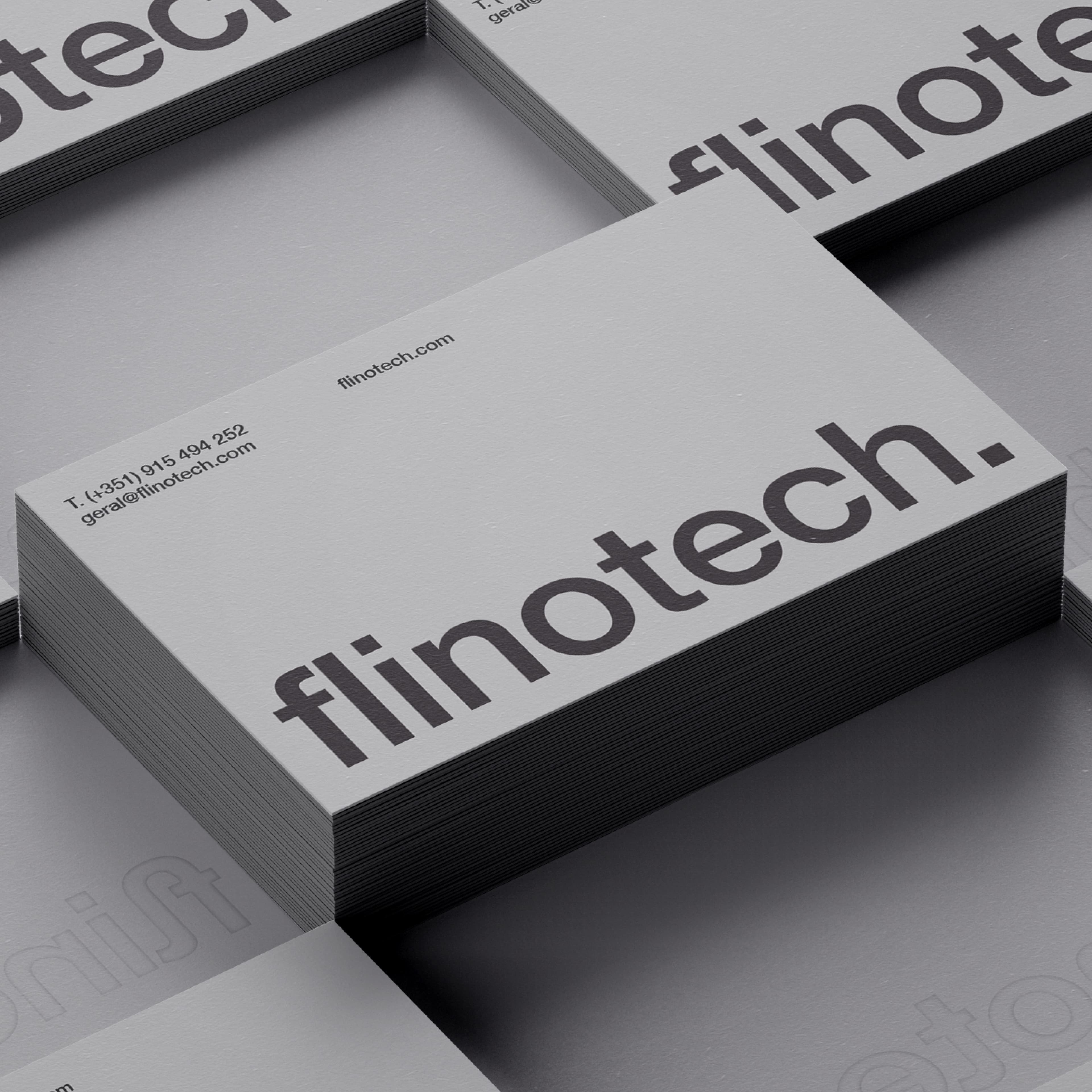 Flinotech Vision