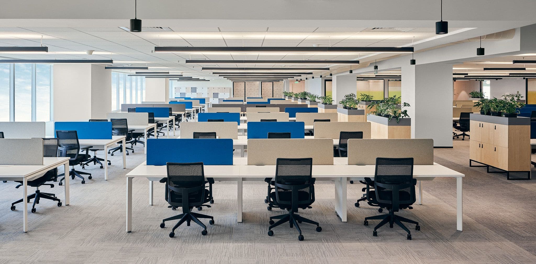 Office Automation